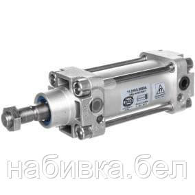 Цилиндр пневматический зажимной ISO D 50x050 BSPT 11.016G.0050A