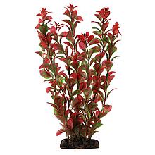 Растение для аквариума "Людвигия" красная, 100 мм