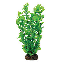 Растение для аквариума "Людвигия" зеленая 200 мм