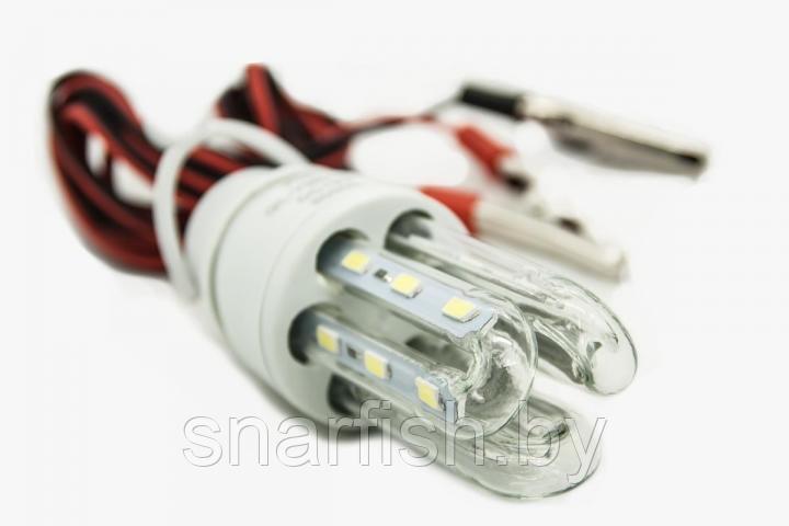 LED лампа 12В с "крокодилами"
