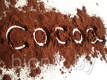 Какао-порошок натуральный,9-12% "Роял Форест", 200гр, фото 2