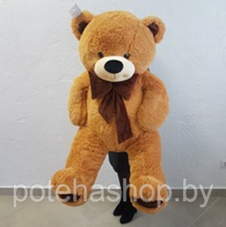 Мягкая игрушка Медведь 160 см - фото 1 - id-p110660329