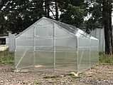 Теплица Садовод Кантри 10м двускатная из поликарбоната 4мм плотность 0,6кг/м2, фото 3
