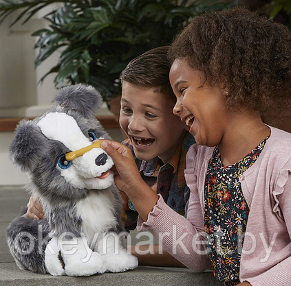 Интерактивная игрушка Hasbro FurReal Friends Щенок Хаски E0384, фото 2