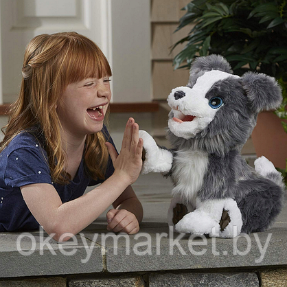 Интерактивная игрушка Hasbro FurReal Friends Щенок Хаски E0384, фото 3