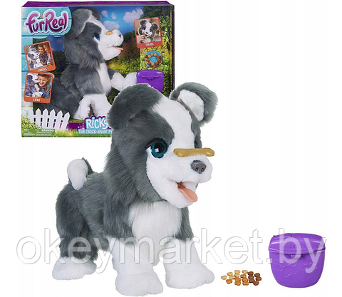 Интерактивная игрушка Hasbro FurReal Friends Щенок Хаски E0384, фото 2