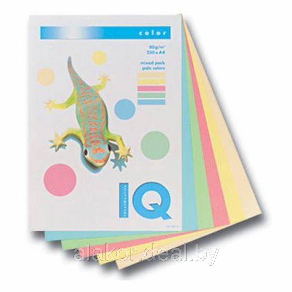 Бумага цветная "IQ Color", А4, 80 г/м2, 250л., пастель, микс 5 цветов - фото 1 - id-p110916883