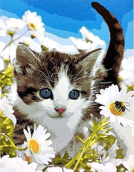 Рисование по номерам "Голубоглазый котенок" картина - фото 1 - id-p111006989