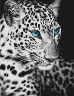 Рисование по номерам "Леопард" картина
