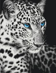 Рисование по номерам "Леопард" картина - фото 1 - id-p111006993
