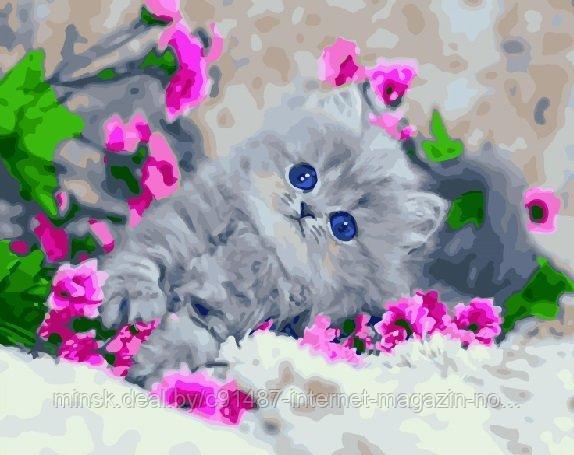 Рисование по номерам «Голубоглазый котенок» картина - фото 1 - id-p111007024