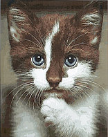Рисование по номерам "Котенок" картина