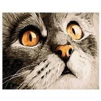 Рисование по номерам "Взгляд кота" картина