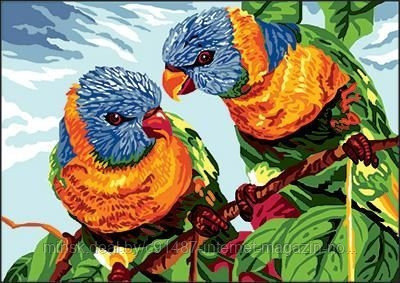 Рисование по номерам "Два попугая" картина - фото 1 - id-p111007125