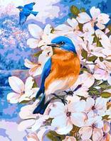 Рисование по номерам "Голубые птички" картина