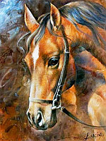 Рисование по номерам "Конь" картина