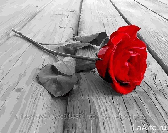 Рисование по номерам "Красная роза" картина - фото 1 - id-p111007182