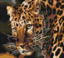Алмазная мозаика "Леопард" вышивка - фото 1 - id-p111007206