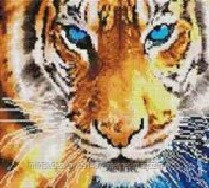 Алмазная мозаика "Взгляд тигра" на подрамнике - фото 1 - id-p111007243