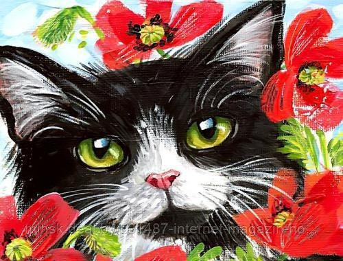 Рисование по номерам "Кот в маках" картина - фото 1 - id-p111007260