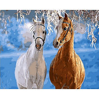 Рисование по номерам "Пара коней" картина