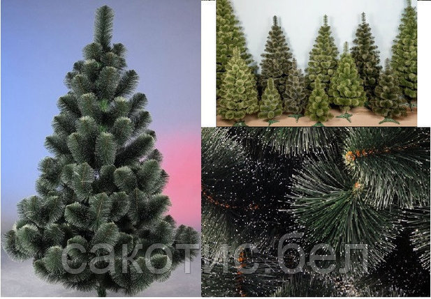 Сосна искусственная Арктика с белыми кончиками 1.8м, фото 2