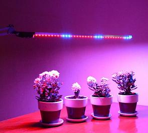Фитолампы (лампы для растений)