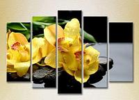 Любое изображение и размер. Модульные картины и постеры "Желтые орхидеи на камнях от Posterazakaz.by "