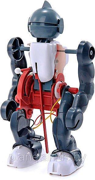 Робот конструктор акробат электромеханический (на батарейках),2123 - фото 3 - id-p111116439
