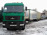 Перевозка  трактора "Беларус", фото 8