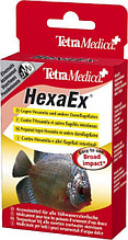 Tetra Medica HexaEx  - средство против эндопаразитических жгутиконосцев (20мл.)