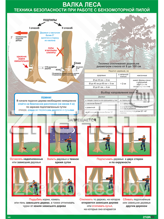 Плакат Техника безопасности при работе с бензомоторной пилой Валка леса - фото 1 - id-p111249191