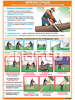 Плакат Техника безопасности при работе с бензомоторной пилой Обрезка сучьев