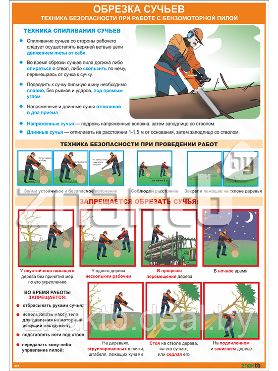 Плакат Техника безопасности при работе с бензомоторной пилой Обрезка сучьев - фото 1 - id-p111249196