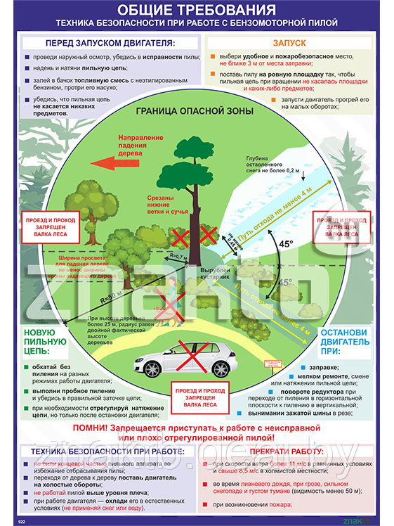 Плакат Техника безопасности при работе с бензомоторной пилой общие требования - фото 1 - id-p111249206
