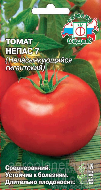 Томат НЕПАС 7, 0.1г - фото 1 - id-p111266544