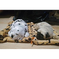 Интерактивная игрушка Спящий щенок (дышит, храпит)
