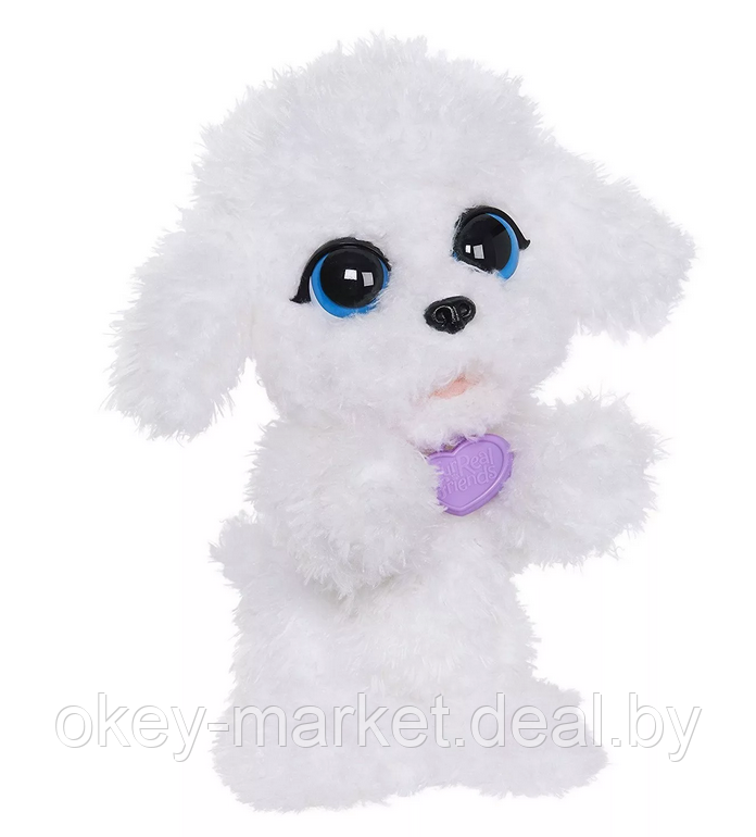 Интерактивный прыгающий щенок Пудель Hasbro FurReal Friends Playful Pets - фото 1 - id-p65804506