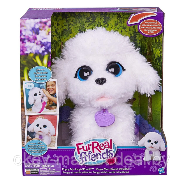 Интерактивный прыгающий щенок Пудель Hasbro FurReal Friends Playful Pets - фото 2 - id-p65804506