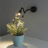Светодиодный светильник с гибким основанием BAND LED черный, фото 2