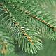 Елка (ель) искусственная Бифорес Премиум микс темно-зеленая 1.65 м, фото 3