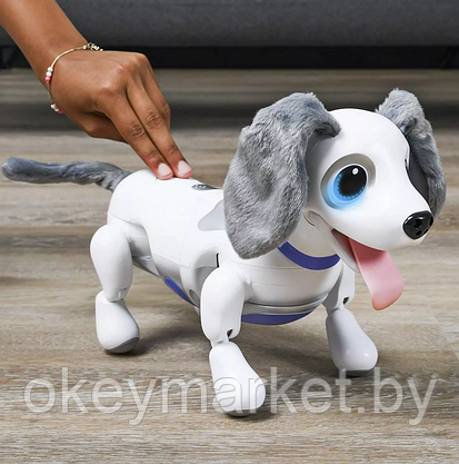 Интерактивный игривый щенок Playful Pup Zoomer Spin Master, фото 2