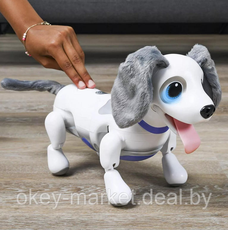 Интерактивный игривый щенок Playful Pup Zoomer Spin Master - фото 2 - id-p111518912