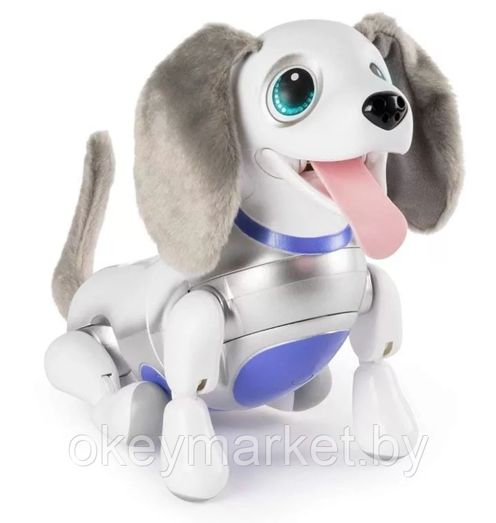 Интерактивный игривый щенок Playful Pup Zoomer Spin Master, фото 2