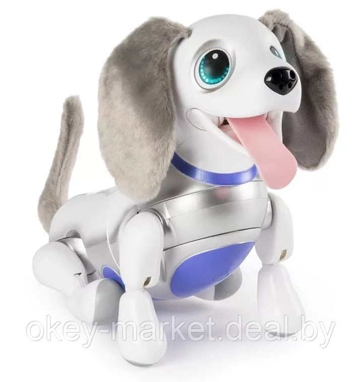 Интерактивный игривый щенок Playful Pup Zoomer Spin Master - фото 1 - id-p111518912