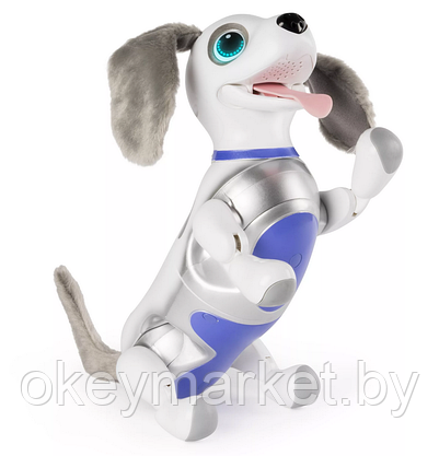 Интерактивный игривый щенок Playful Pup Zoomer Spin Master, фото 3