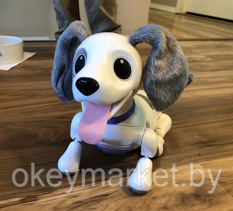 Интерактивный игривый щенок Playful Pup Zoomer Spin Master, фото 3