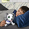 Интерактивный игривый щенок Playful Pup Zoomer Spin Master, фото 5