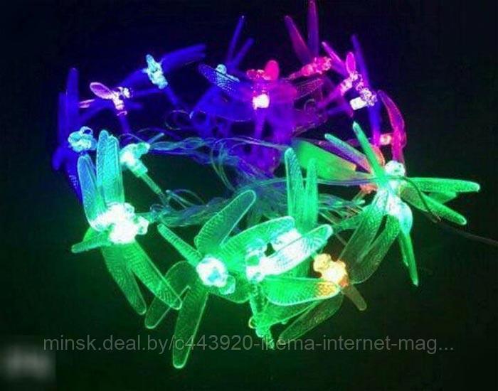 Гирлянда электрическая (светодиод разноцветный) 25 лампочек, 5 м. (Артикул:CL-02) - фото 1 - id-p111519013