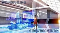 WEBROOMING или SHOWROOMING?